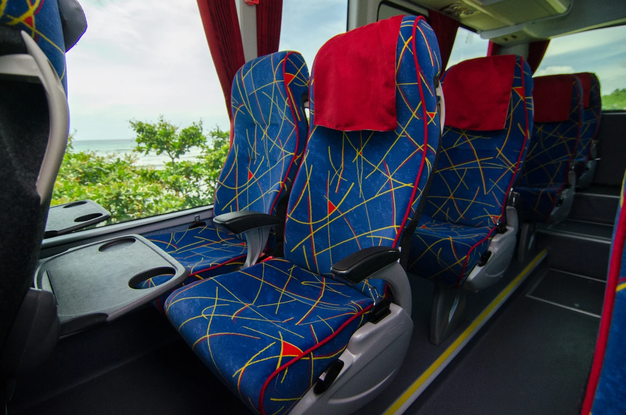 Coastal Road Bus Tour Sightseeing