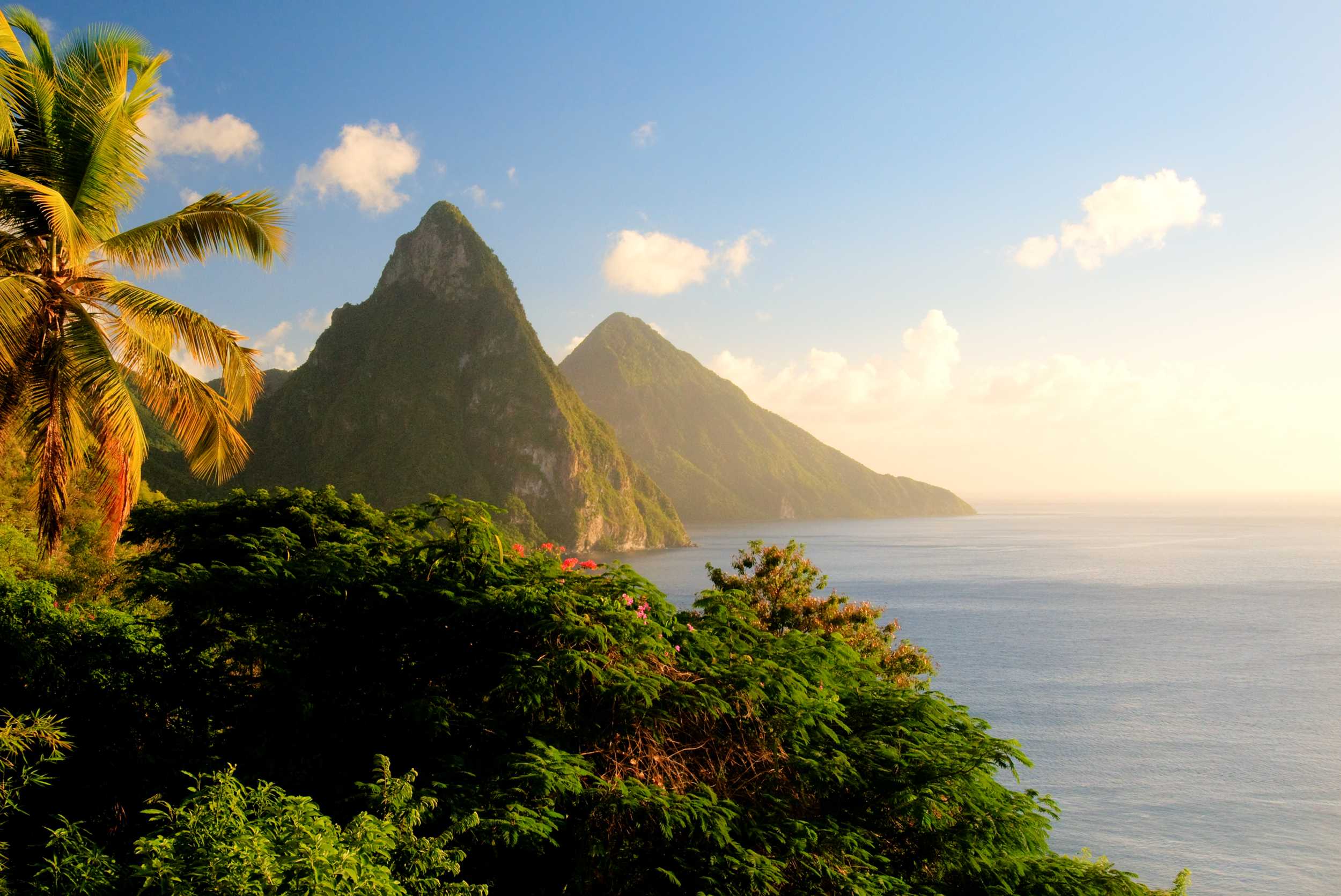 Jamaican Heritage