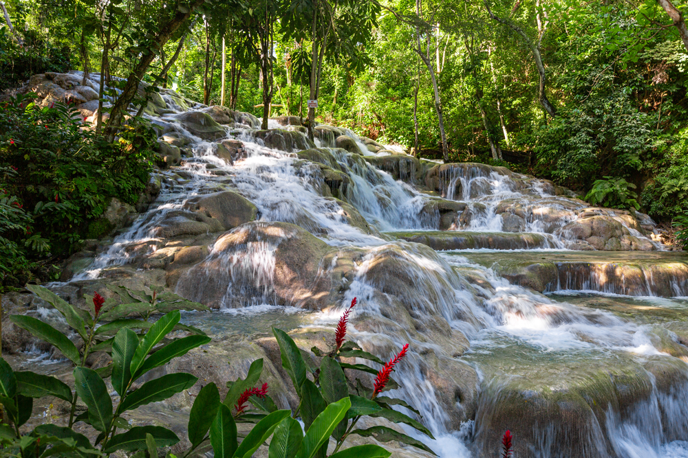 Dunn's River Falls