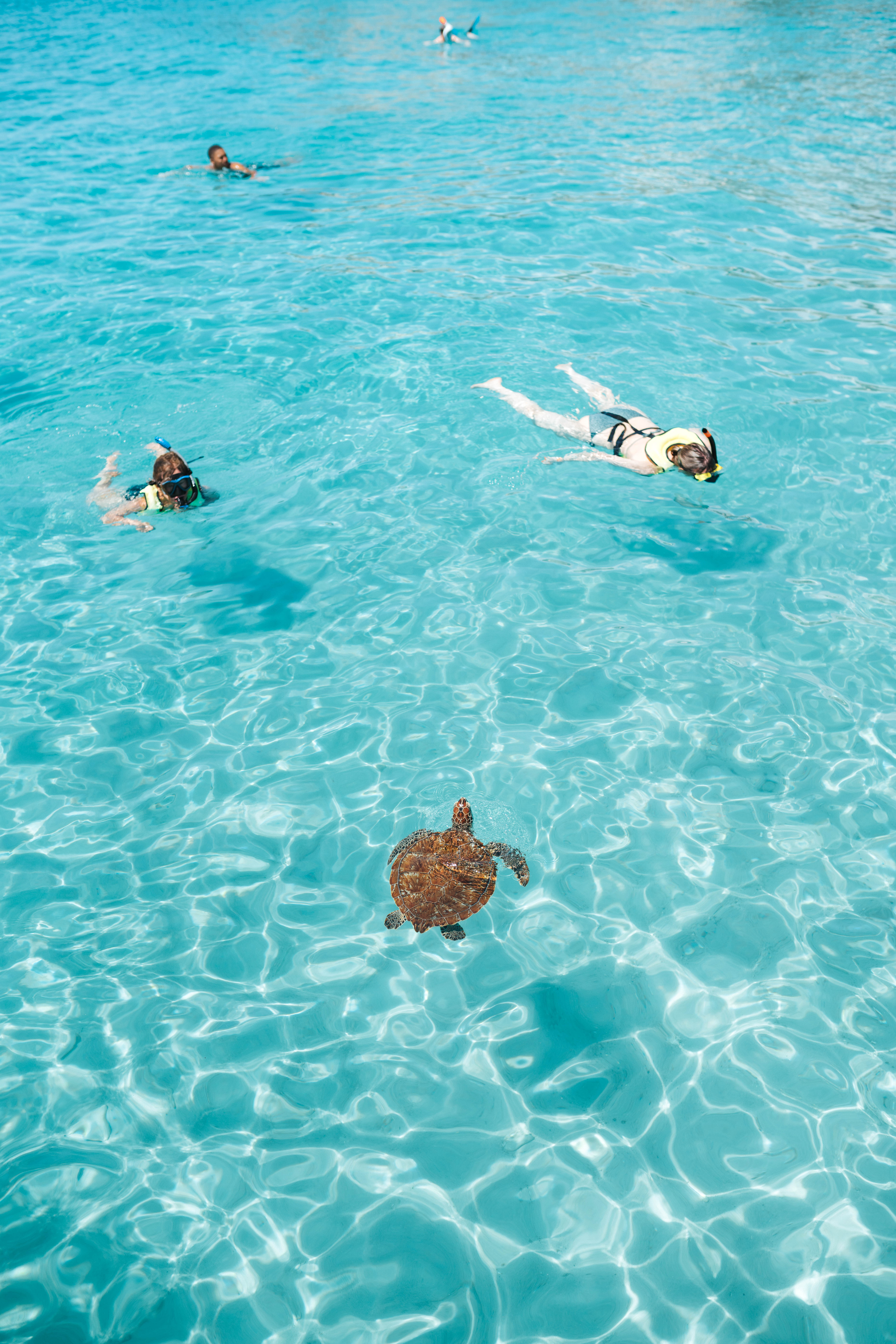 Island Routes