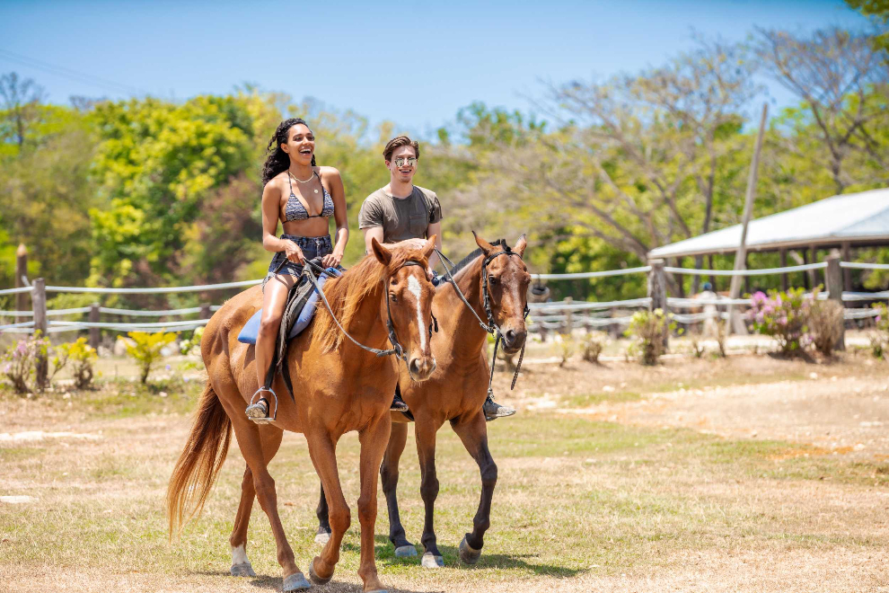 Beach Horseback Riding Excursion