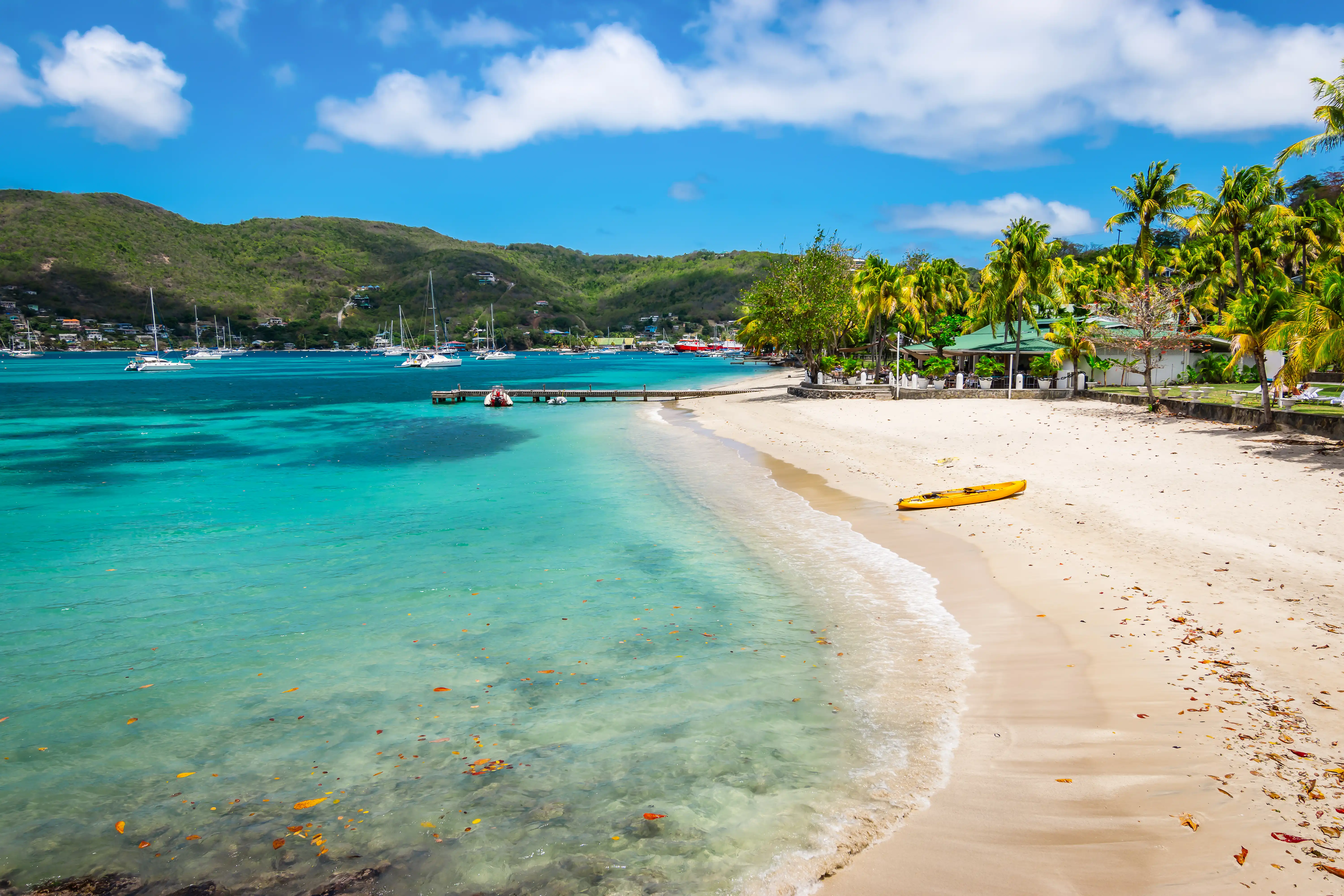 Palm-lined beach and calm turquoise water on Bequia