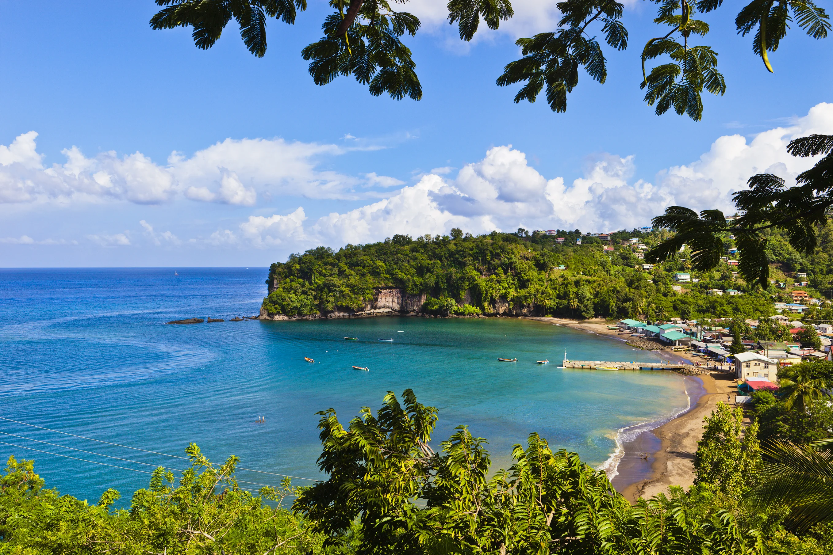 St. Lucia Landscape