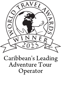 World Travel Award 2
