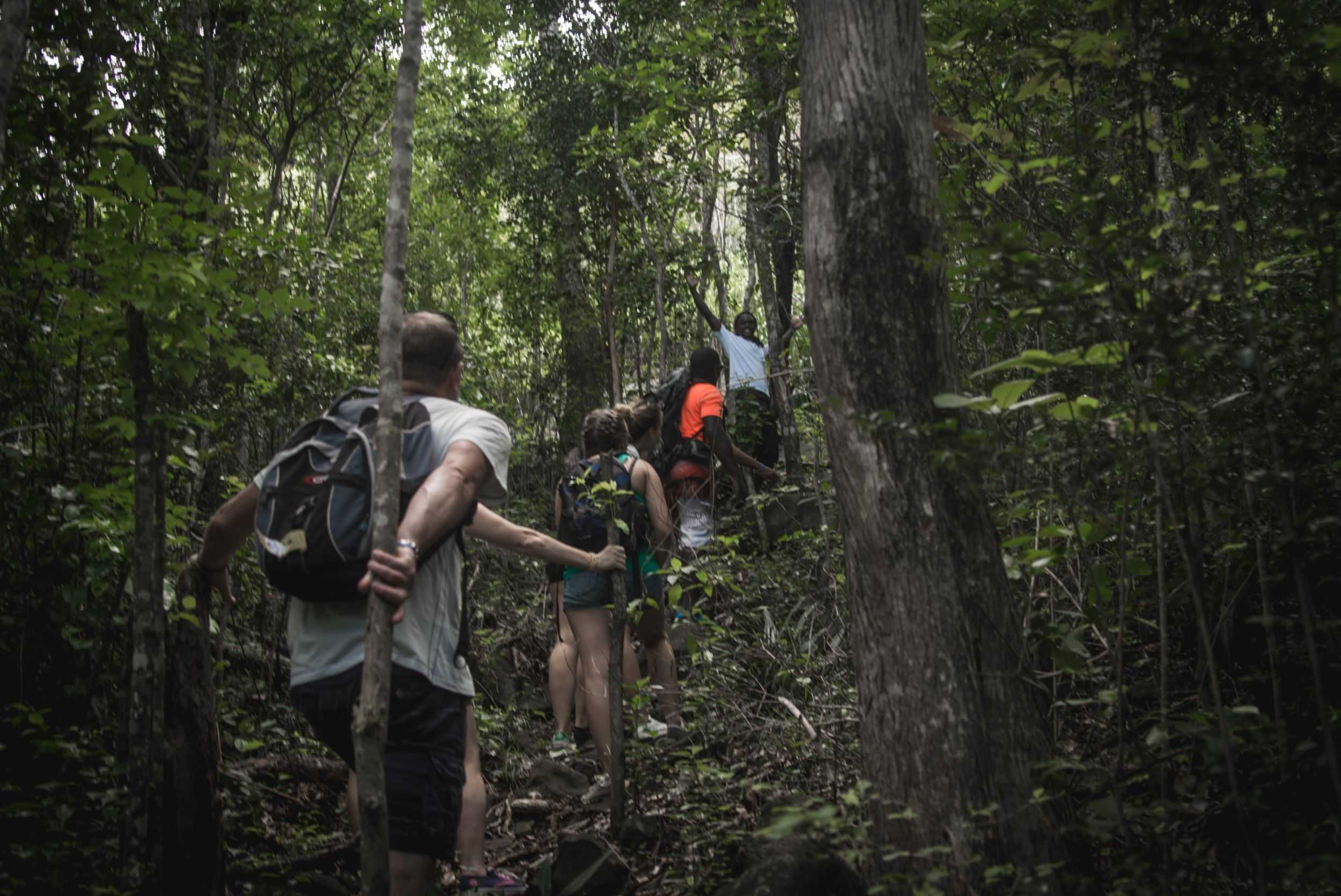 People Hiking